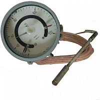 ТМ2030Сг-2 (0...+100)°С-МП-2,5-2,5-160 УТ000008512